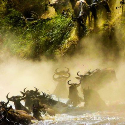 肯尼亚内罗毕+地狱之门国家公园+马赛马拉国家保护区10日9晚自由行 肯尼亚内罗毕+地狱之门国家公园+马赛马拉国家保护区10日9晚自由行