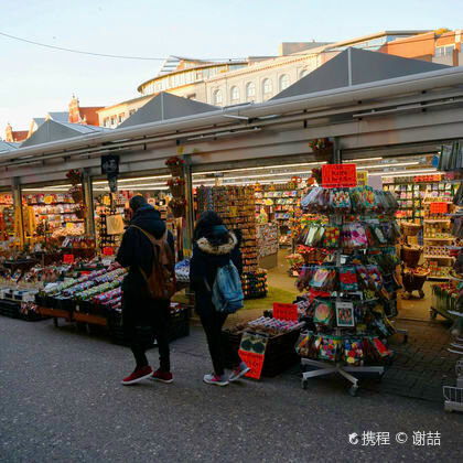wetlands Safari+福伦丹+梵高博物馆+辛格鲜花市场一日游 wetlands Safari+福伦丹+梵高博物馆+辛格鲜花市场一日游