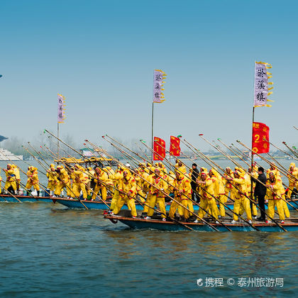 泰州溱湖国家湿地公园+溱潼古镇一日游 泰州溱湖国家湿地公园+溱潼古镇一日游