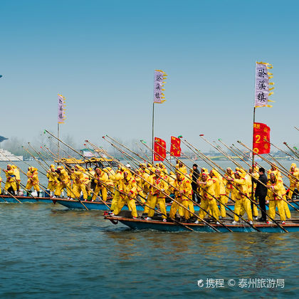 泰州溱湖国家湿地公园+溱潼古镇一日游