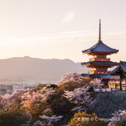 日本东京+富士山+镰仓市+大阪6日5晚半自助游