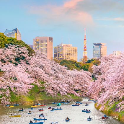 日本6日5晚私家团