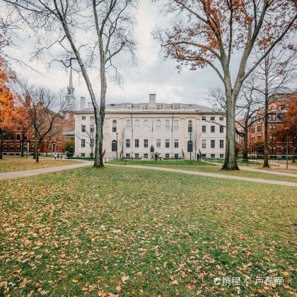 美国华盛顿+费城+波士顿+尼亚加拉瀑布4日3晚跟团游 美国华盛顿+费城+波士顿+尼亚加拉瀑布4日3晚跟团游