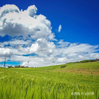 昆明+大理市+丽江+香格里拉+玉龙雪山7日6晚拼小团