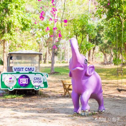 泰国清迈3日2晚拼小团 泰国清迈3日2晚拼小团