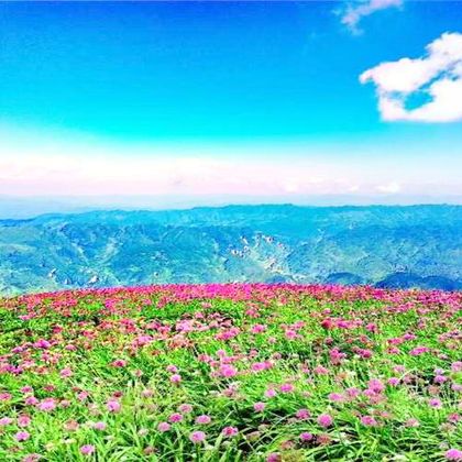 贵州阿西里西韭菜坪+阿西里西大草原一日游