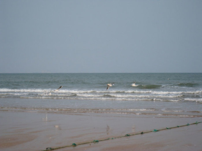 吴家台海水浴场