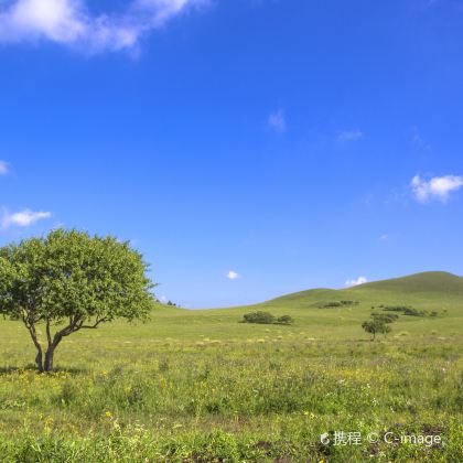 张家口+崇礼区+坝上+乌兰布统旅游区+承德5日4晚私家团 张家口+崇礼区+坝上+乌兰布统旅游区+承德5日4晚私家团