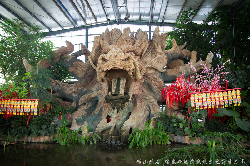 绥滨农场龙府热带植物园区