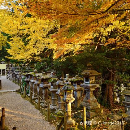日本大阪+京都+奈良7日私家团 日本大阪+京都+奈良7日私家团