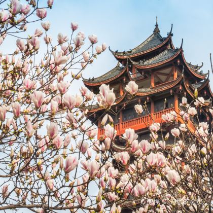 成都+都江堰景区+西岭雪山4日3晚私家团