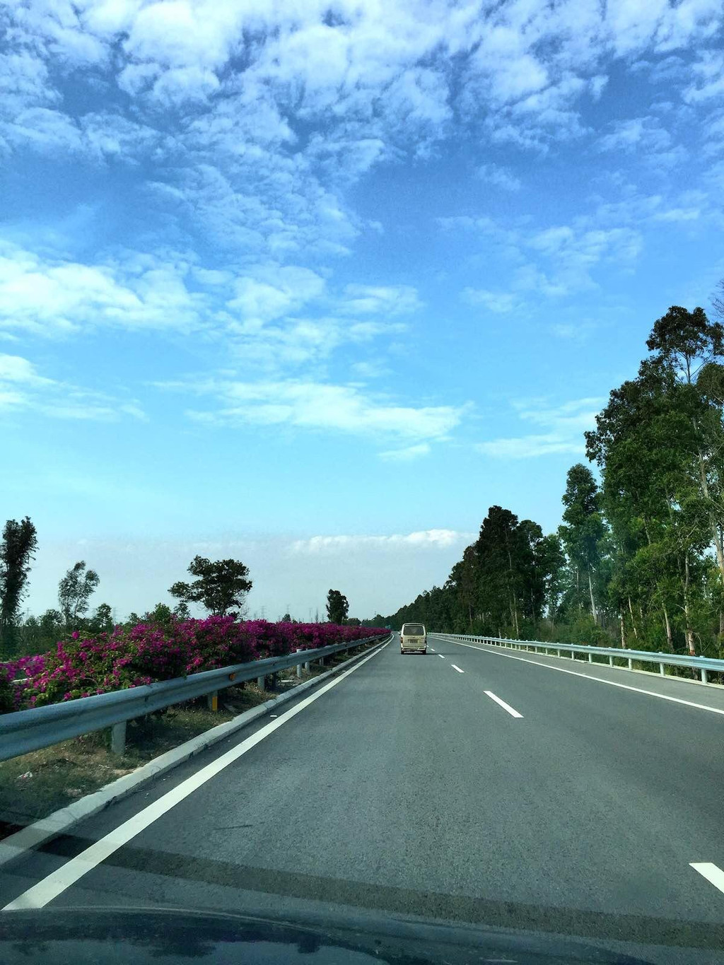                  沿西线环岛高速