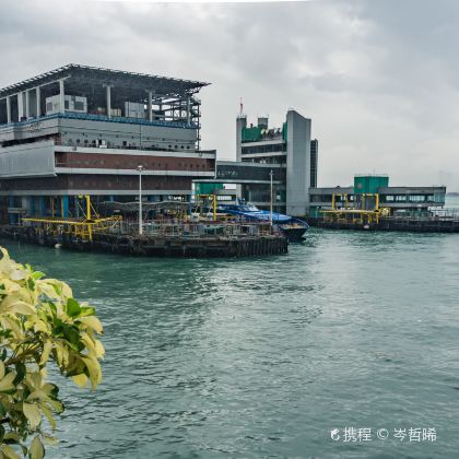 香港+澳门2日1晚跟团游 香港+澳门2日1晚跟团游