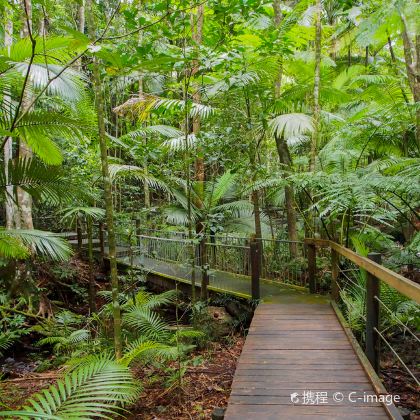 澳大利亚凯恩斯+大堡礁+热带雨林自然公园6日5晚私家团
