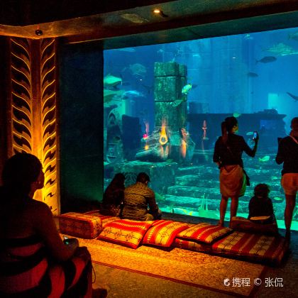 埃及开罗+迪拜7日6晚私家团 埃及开罗+迪拜7日6晚私家团