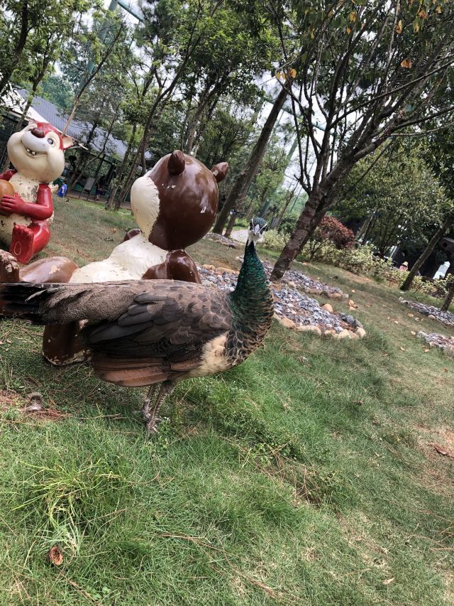 光明松鼠谷主题乐园