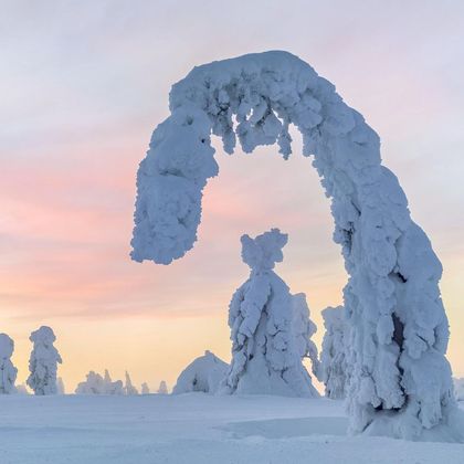 芬兰索丹屈莱紫水晶矿+洛斯托+雪橇狗公园一日游