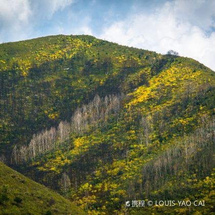山西五台山3日2晚自由行 山西五台山3日2晚自由行
