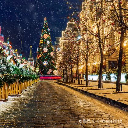 俄罗斯6日私家团 俄罗斯6日私家团