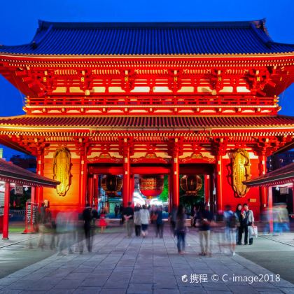 日本东京+富士山+京都+奈良市+大阪6日5晚跟团游 日本东京+富士山+京都+奈良市+大阪6日5晚跟团游