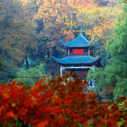 长沙橘子洲+岳麓书院+爱晚亭+天心阁+太平老街+湘江游轮橘洲之星5日4晚私家团