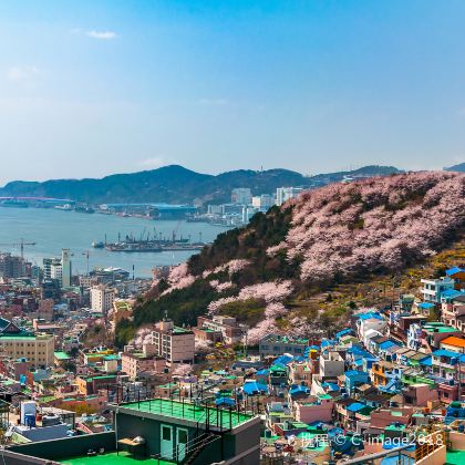 韩国釜山4日3晚跟团游 韩国釜山4日3晚跟团游