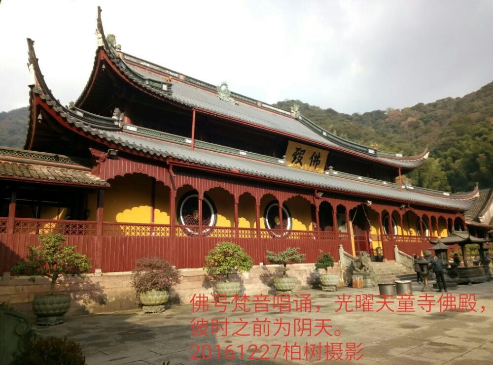 (四天三晚,行走宁波朝觐佛教圣地)缘来心动,一日五天象天童寺魅力千年