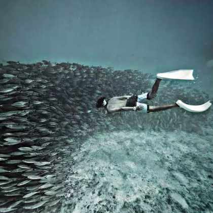 菲律宾宿务墨宝沙丁鱼风暴浮潜一日游
