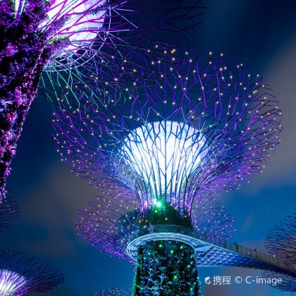 新加坡6日5晚拼小团 新加坡6日5晚拼小团