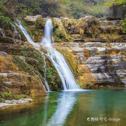 洛阳牡丹园+云台山风景名胜区+白马寺+龙门石窟5日4晚跟团游