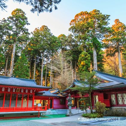 箱根箱根神社+大涌谷+御殿场奥特莱斯+忍野八海+箱根汤本温泉一日游