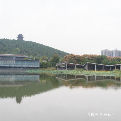 徐州汉文化景区|2H精讲资深讲师·10人小团·含耳麦趣味讲解 徐州汉文化景区|2H精讲资深讲师·10人小团·含耳麦趣味讲解