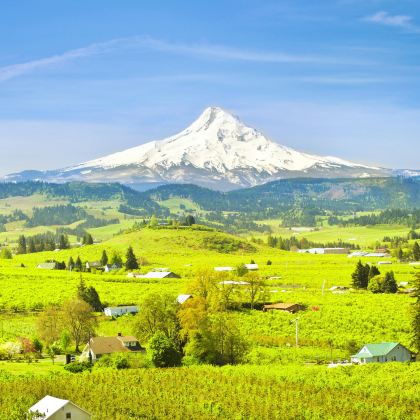 波特兰胡德山国家森林+延龄草湖+马特诺玛瀑布一日游 波特兰胡德山国家森林+延龄草湖+马特诺玛瀑布一日游