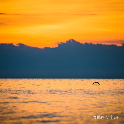 青海西宁+青海湖+茶卡盐湖+德令哈+乌素特水上雅丹地质公园+大柴旦翡翠湖旅游景区+莫高窟+鸣沙山月牙泉7日6晚私家团