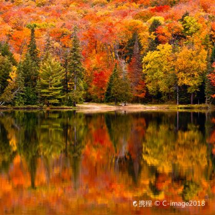 加拿大多伦多阿尔冈金省立公园+加拿大白求恩纪念馆一日游 加拿大多伦多阿尔冈金省立公园+加拿大白求恩纪念馆一日游