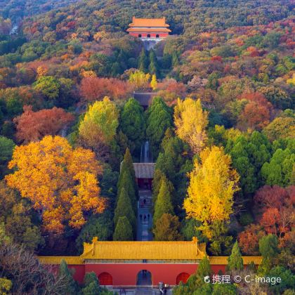 苏州+周庄+上海+东方明珠4日3晚私家团 苏州+周庄+上海+东方明珠4日3晚私家团