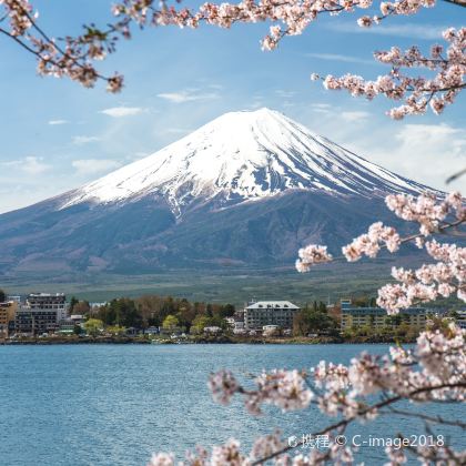 日本大阪+京都+奈良市+东京+富士山7日6晚跟团游 日本大阪+京都+奈良市+东京+富士山7日6晚跟团游