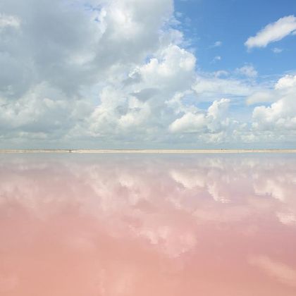 粉红湖+尤卡坦半岛国家公园一日游