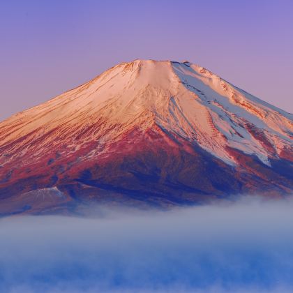日本东京+富士山2日1晚私家团