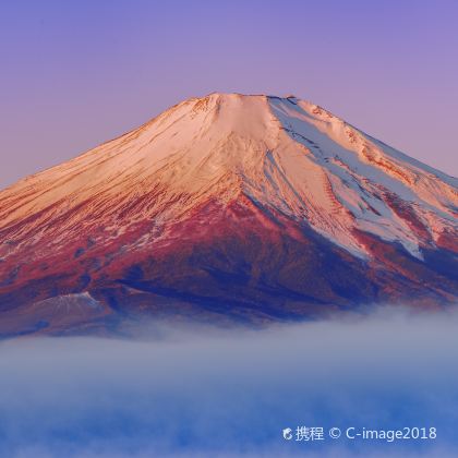 日本东京+富士山2日1晚私家团