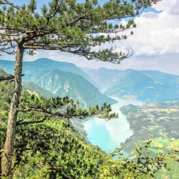 塞尔维亚贝尔格莱德德里纳河屋+塔拉国家公园+弹孔纪念碑一日游 塞尔维亚贝尔格莱德德里纳河屋+塔拉国家公园+弹孔纪念碑一日游