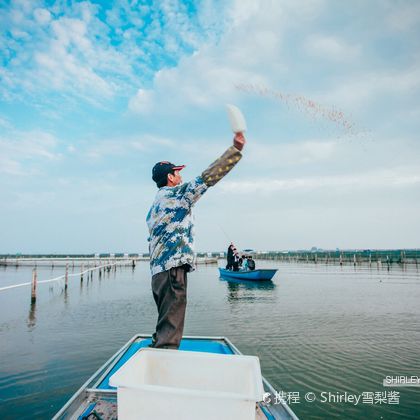 江苏阳澄湖+阳澄湖莲花岛+苏州华谊兄弟电影世界一日游 江苏阳澄湖+阳澄湖莲花岛+苏州华谊兄弟电影世界一日游
