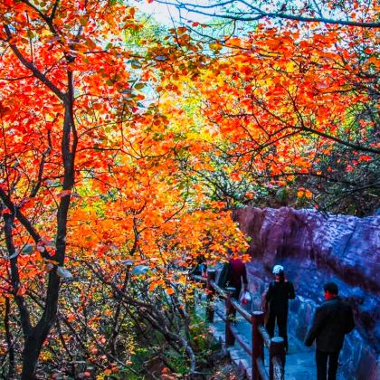 河南云台山风景名胜区一日游【濮阳出发】 河南云台山风景名胜区一日游【濮阳出发】