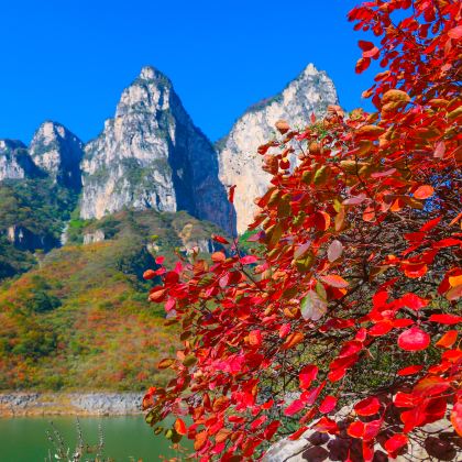 河南云台山风景名胜区+河南宝泉旅游区3日2晚私家团 河南云台山风景名胜区+河南宝泉旅游区3日2晚私家团