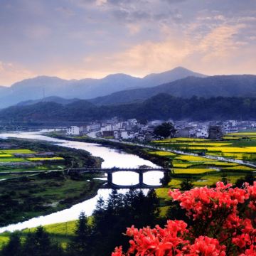 黄山风景区+婺源+宏村景区3日2晚跟团游 黄山风景区+婺源+宏村景区3日2晚跟团游