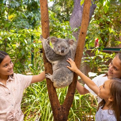 澳大利亚布里斯班+黄金海岸+莫顿岛+冲浪者天堂12日11晚拼小团 澳大利亚布里斯班+黄金海岸+莫顿岛+冲浪者天堂12日11晚拼小团