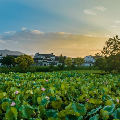 安徽+江西9日8晚跟团游 安徽+江西9日8晚跟团游