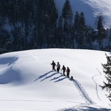 德国+瑞士+法国+卢浮宫+巴黎圣母院+少女峰+新天鹅堡12日10晚私家团 德国+瑞士+法国+卢浮宫+巴黎圣母院+少女峰+新天鹅堡12日10晚私家团
