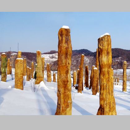 沈阳+本溪+丹东5日4晚拼小团 沈阳+本溪+丹东5日4晚拼小团