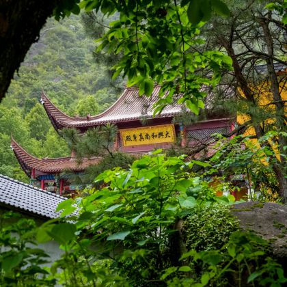 九华山风景区+九华山大愿文化园+九子岩景区+九华天池4日3晚私家团 九华山风景区+九华山大愿文化园+九子岩景区+九华天池4日3晚私家团